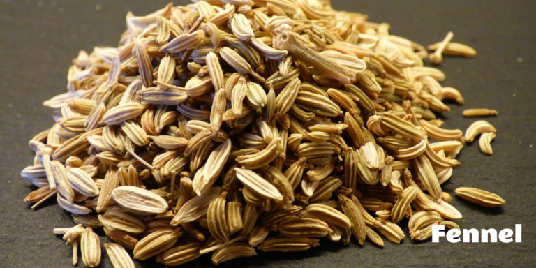 How to Increase Milk Supply Naturally? - Nursing Mama Tips